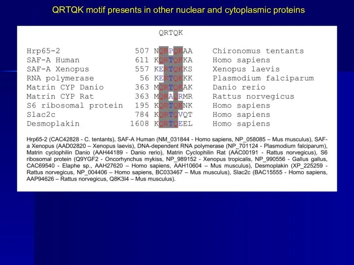 QRTQK motif presents in other nuclear and cytoplasmic proteins