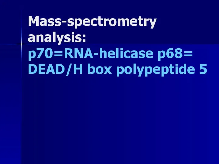Mass-spectrometry analysis: p70=RNA-helicase p68= DEAD/H box polypeptide 5