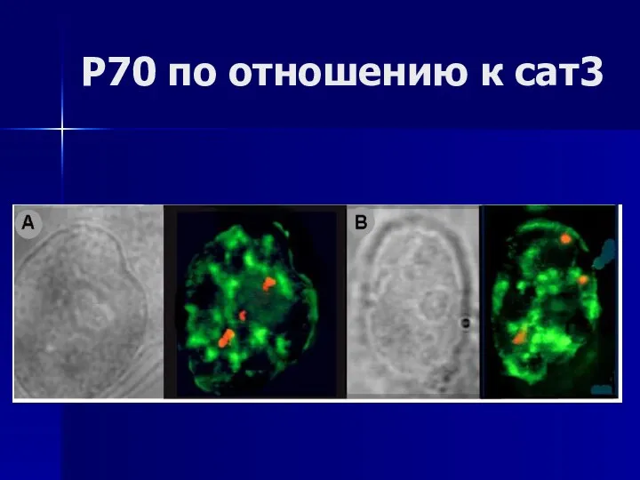 P70 по отношению к сат3