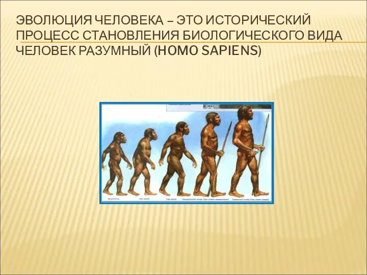 ЭВОЛЮЦИЯ ЧЕЛОВЕКА – ЭТО ИСТОРИЧЕСКИЙ ПРОЦЕСС СТАНОВЛЕНИЯ БИОЛОГИЧЕСКОГО ВИДА ЧЕЛОВЕК РАЗУМНЫЙ (HOMO SAPIENS)