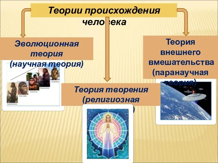 Теория внешнего вмешательства (паранаучная теория) Теории происхождения человека Эволюционная теория (научная теория) Теория творения (религиозная концепция)