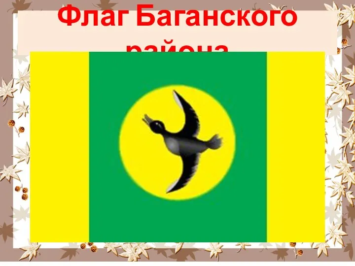 Флаг Баганского района