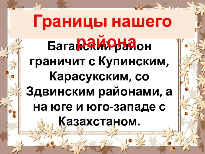 Баганский район граничит с Купинским, Карасукским, со Здвинским районами, а на юге