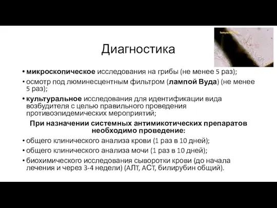 Диагностика микроскопическое исследования на грибы (не менее 5 раз); осмотр под люминесцентным