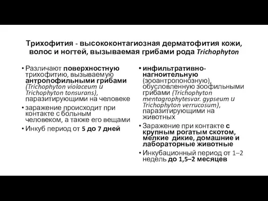 Трихофития - высококонтагиозная дерматофития кожи, волос и ногтей, вызываемая грибами рода Trichophyton