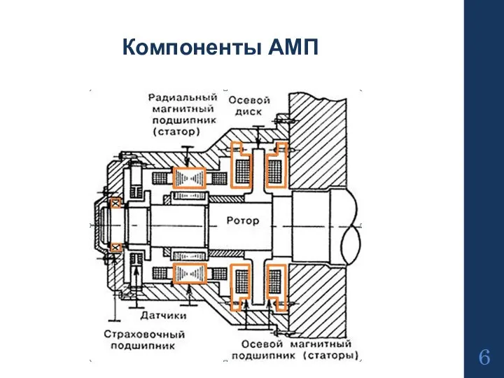 Компоненты АМП