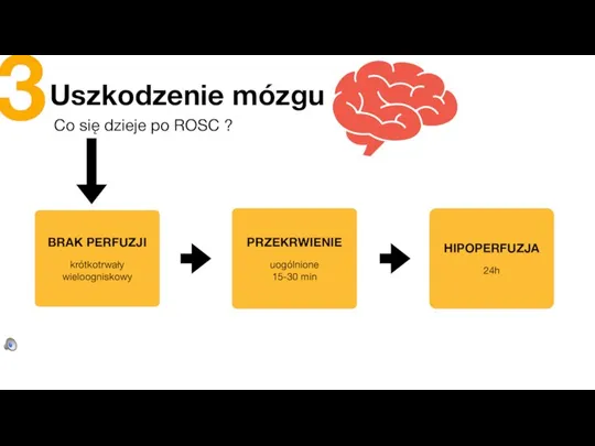 Uszkodzenie mózgu Co się dzieje po ROSC ? BRAK PERFUZJI krótkotrwały wieloogniskowy