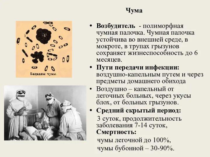 Чума Возбудитель - полиморфная чумная палочка. Чумная палочка устойчива во внешней среде,