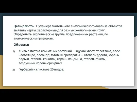 Цель работы: Путем сравнительного анатомического анализа объектов выявить черты, характерные для разных