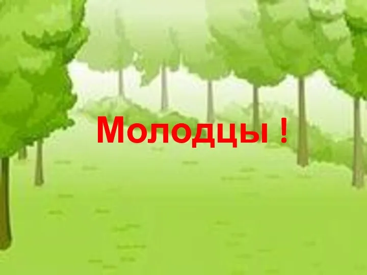 Молодцы !