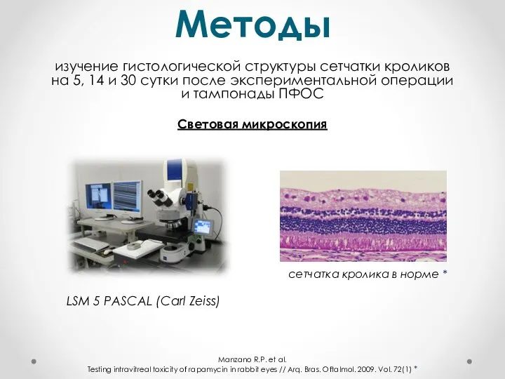 Методы изучение гистологической структуры сетчатки кроликов на 5, 14 и 30 сутки