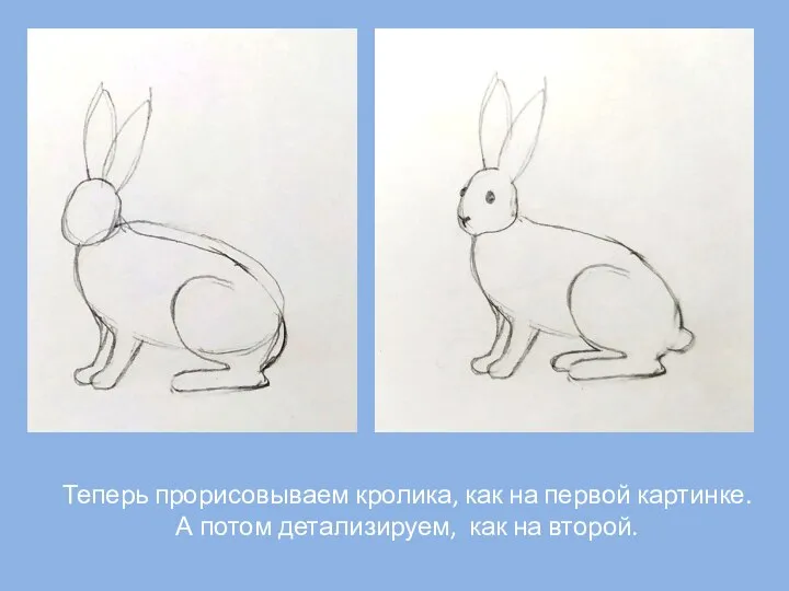 Теперь прорисовываем кролика, как на первой картинке. А потом детализируем, как на второй.