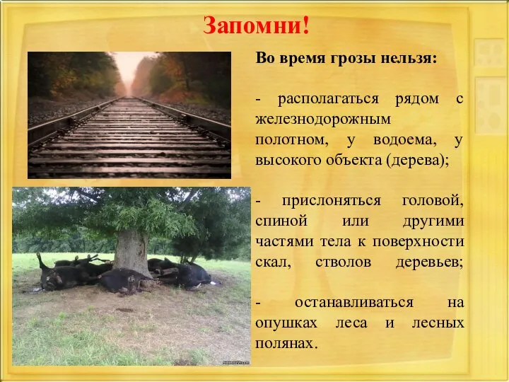 Во время грозы нельзя: - располагаться рядом с железнодорожным полотном, у водоема,