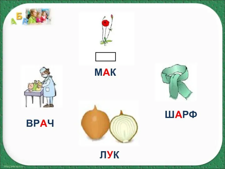 МАК ВРАЧ ЛУК ШАРФ