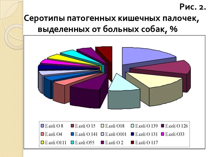 Рис. 2. Серотипы патогенных кишечных палочек, выделенных от больных собак, %