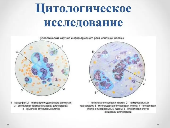 Цитологическое исследование