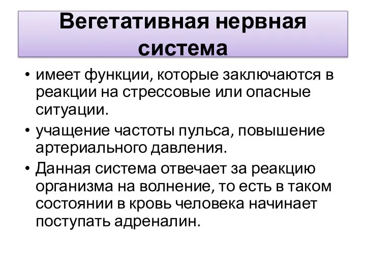 Вегетативная нервная система имеет функции, которые заключаются в реакции на стрессовые или