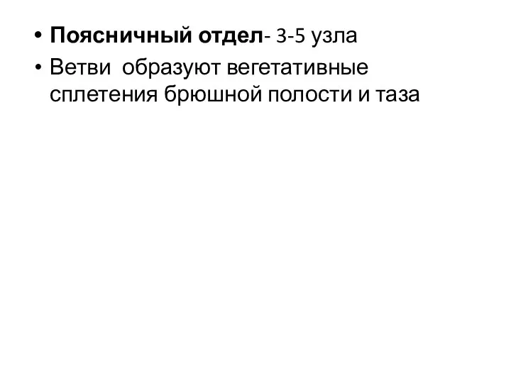 Поясничный отдел- 3-5 узла Ветви образуют вегетативные сплетения брюшной полости и таза