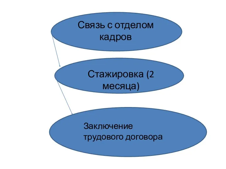 Связь с отделом кадров Стажировка (2 месяца) Заключение трудового договора