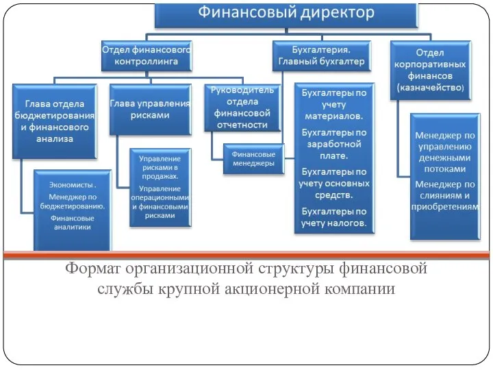 Формат организационной структуры финансовой службы крупной акционерной компании