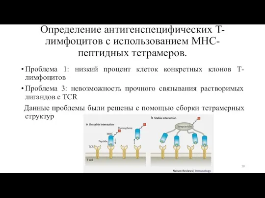 Определение антигенспецифических T-лимфоцитов с использованием MHC-пептидных тетрамеров. Проблема 1: низкий процент клеток