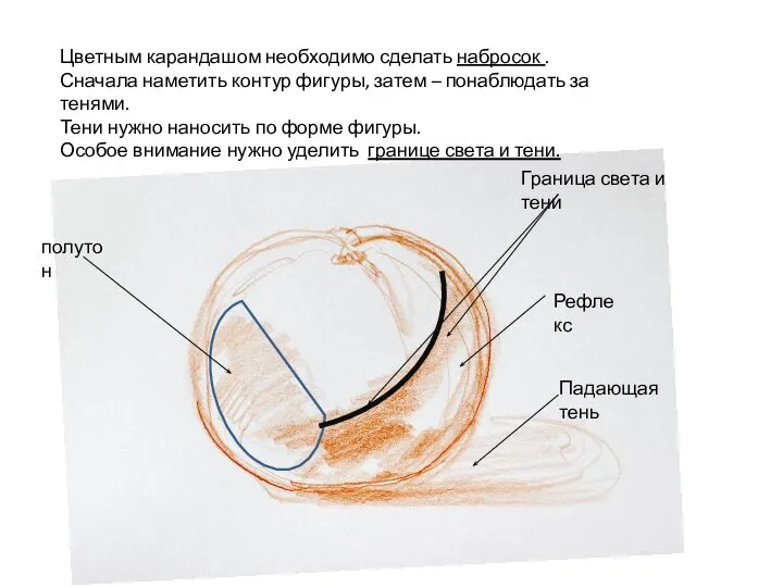 Цветным карандашом необходимо сделать набросок . Сначала наметить контур фигуры, затем –