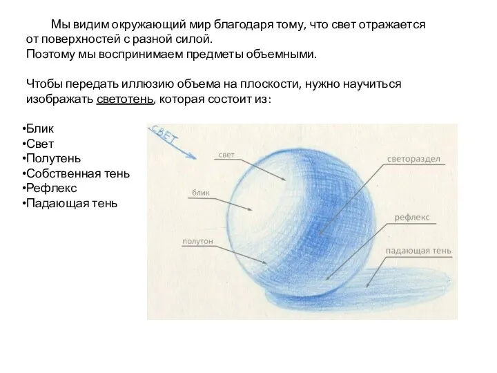 Мы видим окружающий мир благодаря тому, что свет отражается от поверхностей с