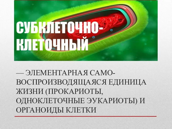 СУБКЛЕТОЧНО-КЛЕТОЧНЫЙ — ЭЛЕМЕНТАРНАЯ САМО- ВОСПРОИЗВОДЯЩАЯСЯ ЕДИНИЦА ЖИЗНИ (ПРОКАРИОТЫ, ОДНОКЛЕТОЧНЫЕ ЭУКАРИОТЫ) И ОРГАНОИДЫ КЛЕТКИ