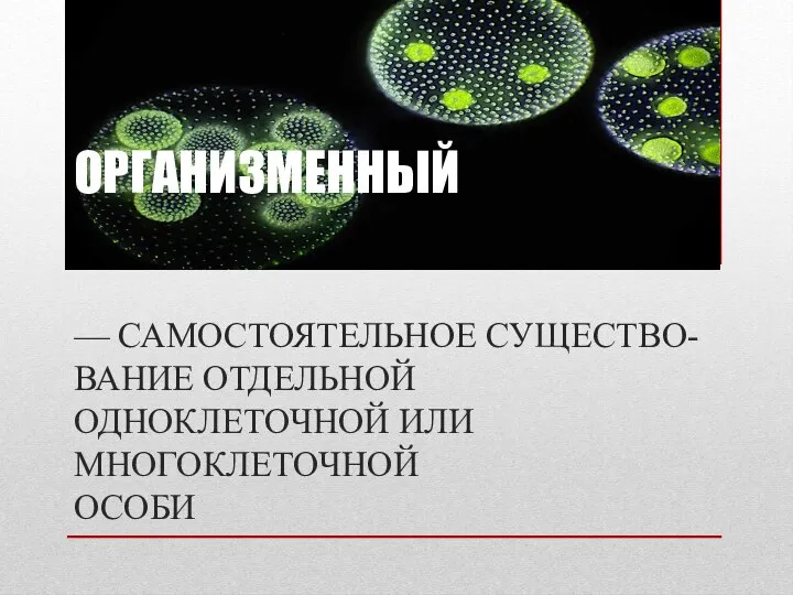 ОРГАНИЗМЕННЫЙ — САМОСТОЯТЕЛЬНОЕ СУЩЕСТВО- ВАНИЕ ОТДЕЛЬНОЙ ОДНОКЛЕТОЧНОЙ ИЛИ МНОГОКЛЕТОЧНОЙ ОСОБИ