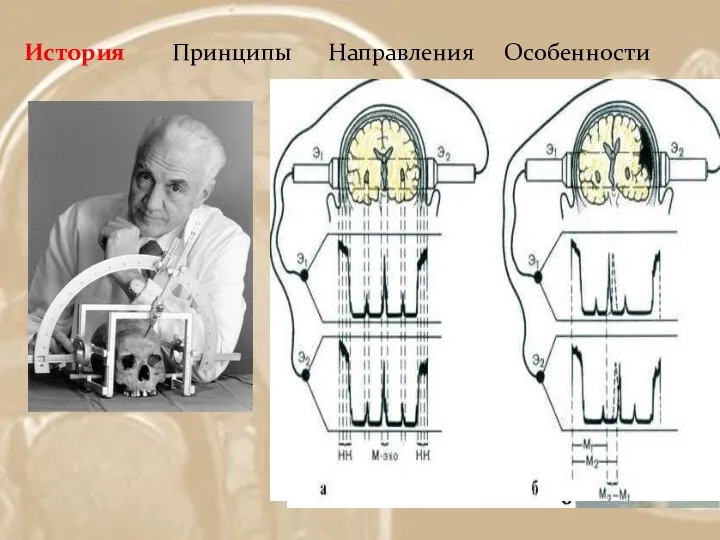 История Принципы Направления Особенности