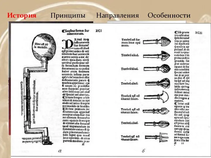 История Принципы Направления Особенности Рис. 1 Перуанский череп