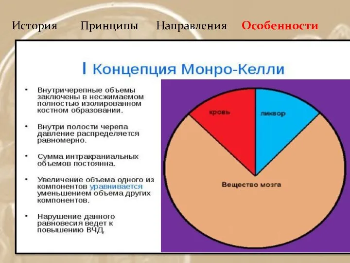 История Принципы Направления Особенности