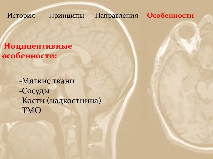 История Принципы Направления Особенности Ноцицептивные особенности: Мягкие ткани Сосуды Кости (надкостница) ТМО