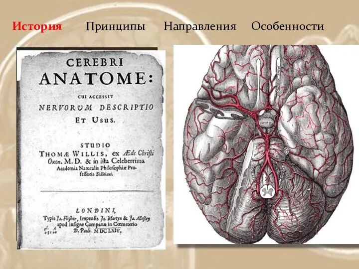 История Принципы Направления Особенности