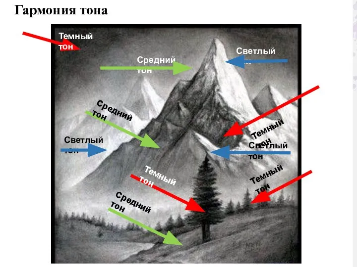 Гармония тона Темный тон Темный тон Темный тон Темный тон Средний тон