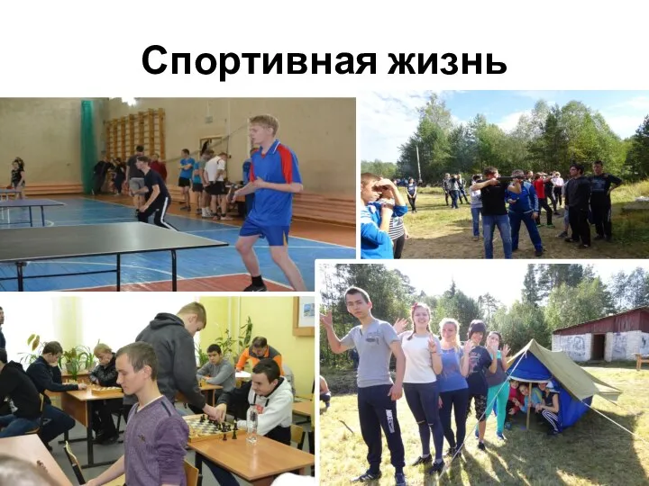 Спортивная жизнь