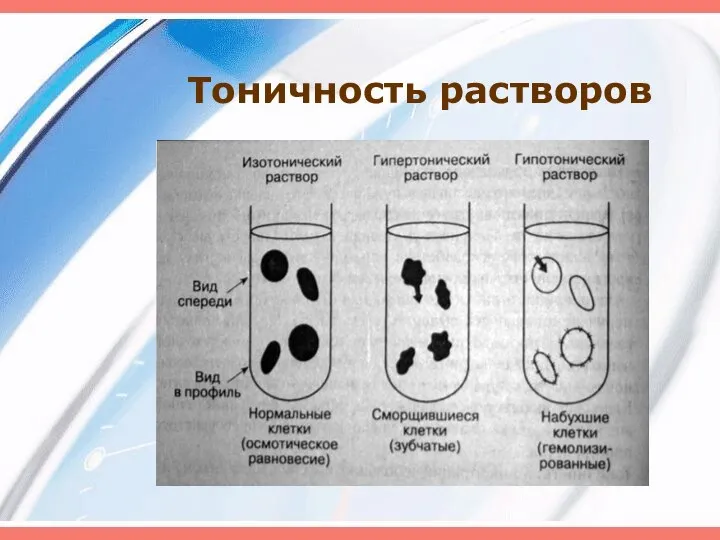 Тоничность растворов