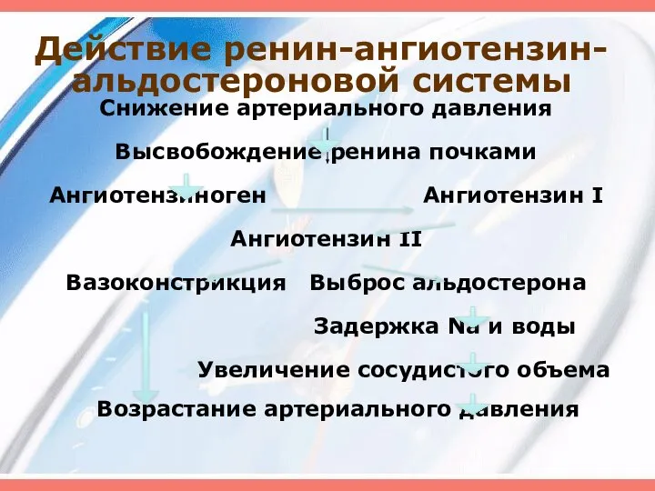 Действие ренин-ангиотензин-альдостероновой системы Снижение артериального давления Высвобождение ренина почками Ангиотензиноген Ангиотензин I