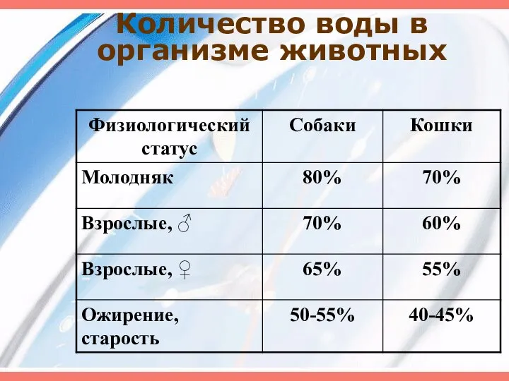 Количество воды в организме животных