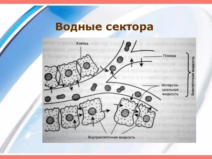 Водные сектора