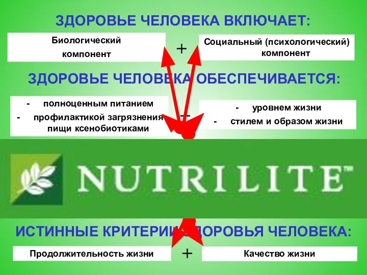 Биологический компонент ЗДОРОВЬЕ ЧЕЛОВЕКА ВКЛЮЧАЕТ: Социальный (психологический) компонент + полноценным питанием профилактикой