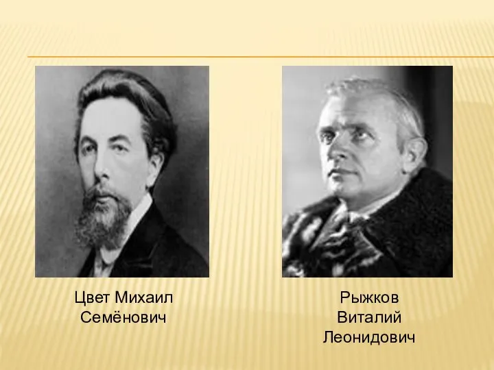 Рыжков Виталий Леонидович Цвет Михаил Семёнович