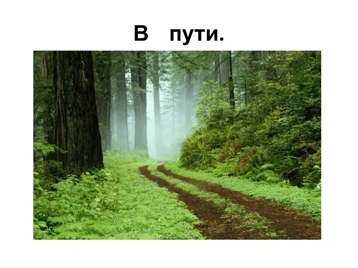 В пути.