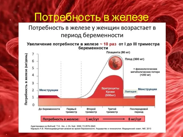 Потребность в железе