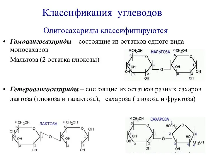 Олигосахариды классифицируются Гомоолигосахариды – состоящие из остатков одного вида моносахаров Мальтоза (2