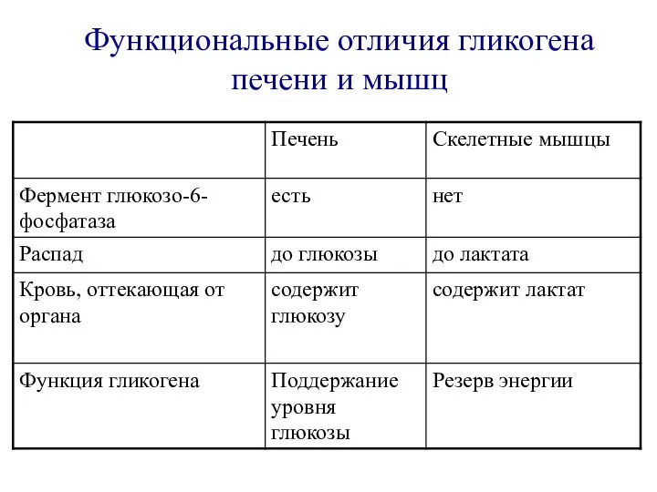 Функциональные отличия гликогена печени и мышц