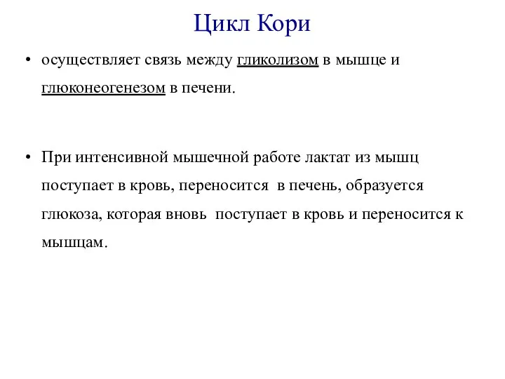 Цикл Кори осуществляет связь между гликолизом в мышце и глюконеогенезом в печени.