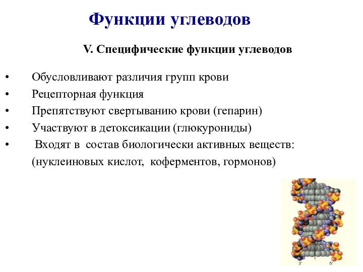 V. Специфические функции углеводов Обусловливают различия групп крови Рецепторная функция Препятствуют свертыванию