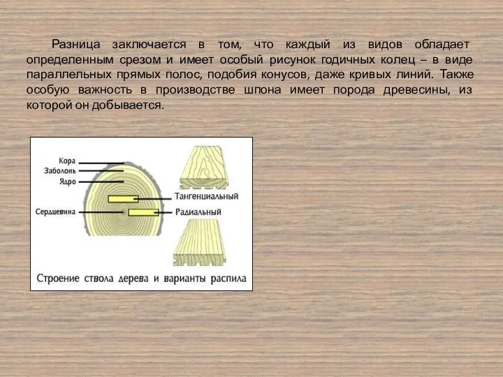 Разница заключается в том, что каждый из видов обладает определенным срезом и