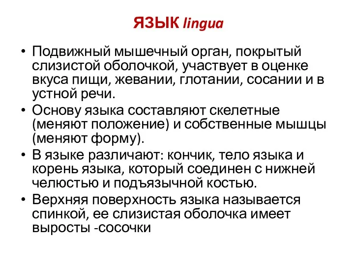 ЯЗЫК lingua Подвижный мышечный орган, покрытый слизистой оболочкой, участвует в оценке вкуса